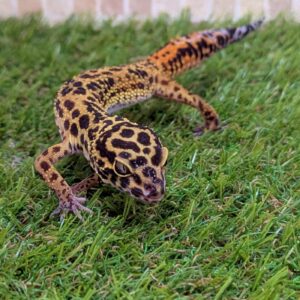 PXL_20250404_093856970