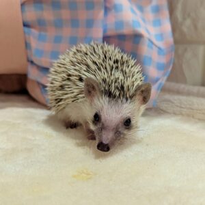 PXL_20250712_053928454