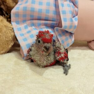 PXL_20250712_055038132