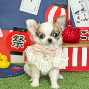 PXL_20250829_071457515.PORTRAIT