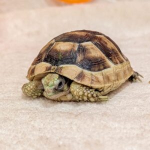 PXL_20251017_062007017