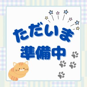 準備中 猫