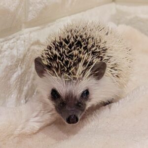 PXL_20251101_015531444