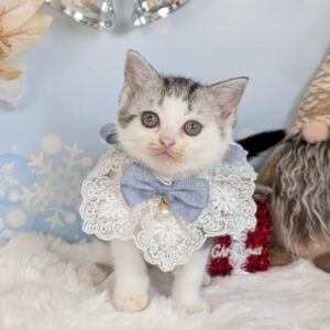 PXL_20251107_062825477.PORTRAIT.ORIGINAL