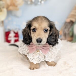 PXL_20251107_070704870.PORTRAIT