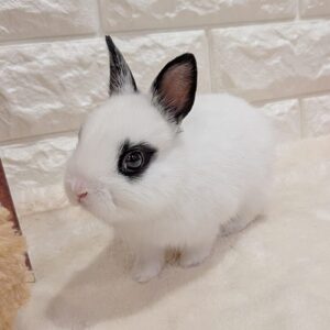 PXL_20251121_071910696