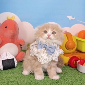 batch_PXL_20251031_055111589.PORTRAIT