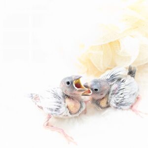 PXL_20251209_091513845.PORTRAIT.ORIGINAL