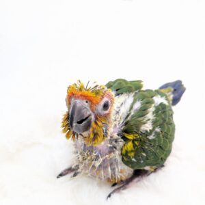 PXL_20251209_091747748.PORTRAIT.ORIGINAL