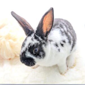 PXL_20251209_092858194.PORTRAIT