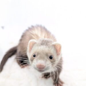 PXL_20251209_093757670.PORTRAIT