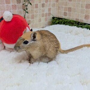 PXL_20251211_104226306