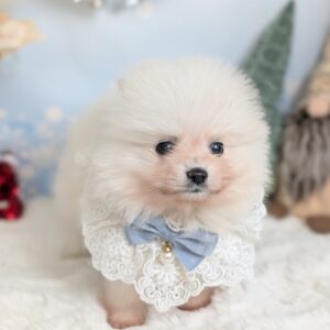 PXL_20251212_074638123.PORTRAIT