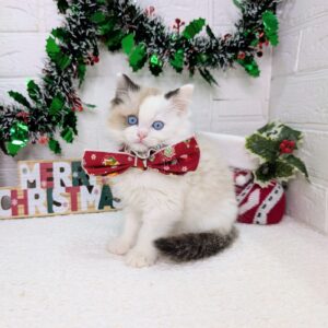 PXL_20251220_022221478~2