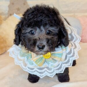 PXL_20251220_074210842