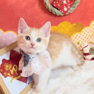 PXL_20251226_054157477.PORTRAIT.ORIGINAL~3