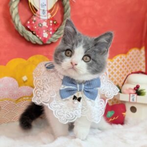 PXL_20251226_061951344.PORTRAIT~2