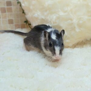 PXL_20251226_095201559