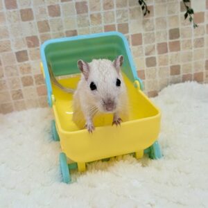 カラージャービル PXL_20251226_100251785