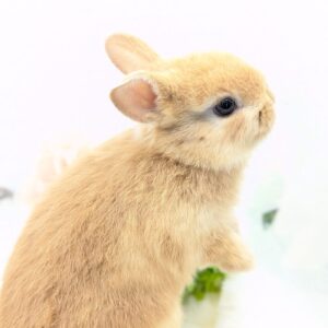 PXL_20260124_042117793.PORTRAIT