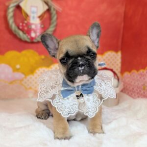 PXL_20260105_045953685.PORTRAIT~2