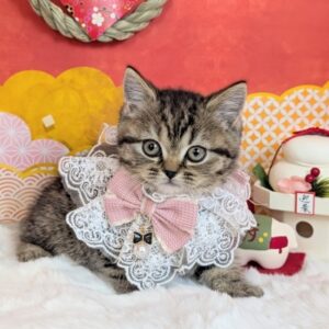 PXL_20260105_052235859.PORTRAIT.ORIGINAL~2[1]