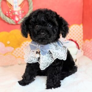 PXL_20260105_053512427.PORTRAIT~3[1]