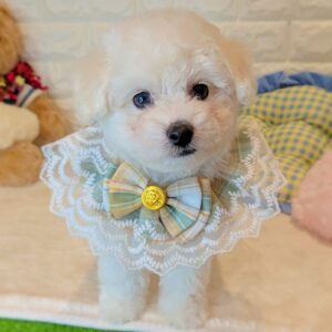 PXL_20260107_034913954