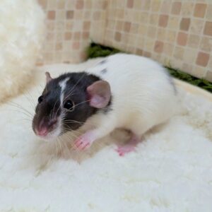 PXL_20260108_104556297