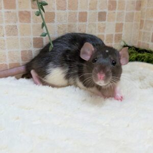 PXL_20260108_104834447