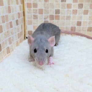 PXL_20260108_104958766