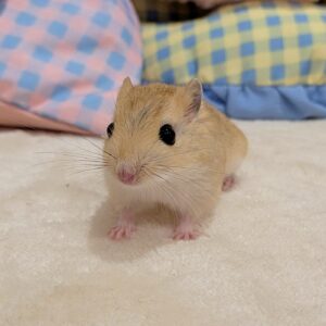 PXL_20260109_025746078