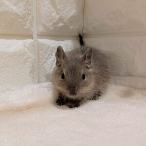 PXL_20260109_031629460