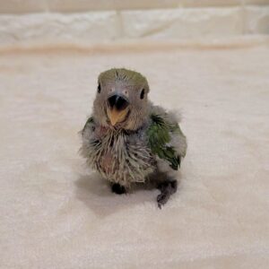 PXL_20260109_032253060