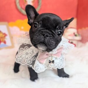 PXL_20260116_070745927.PORTRAIT~2