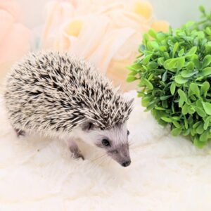 PXL_20260117_074623923.PORTRAIT~2