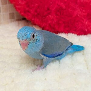 PXL_20260118_071428674