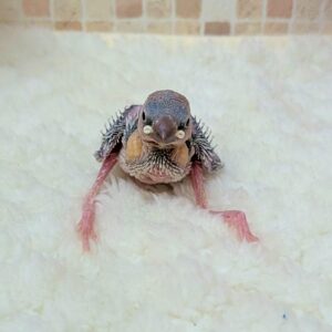 PXL_20260118_072006346