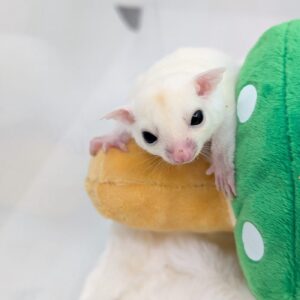 PXL_20260124_014743434.PORTRAIT