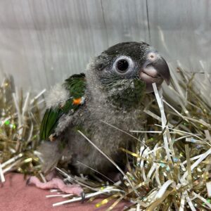 0F1D8979-46FF-4512-A81E-BAC71DE936E2