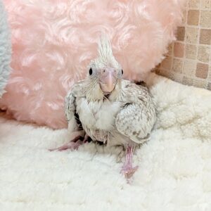 PXL_20260206_082035338