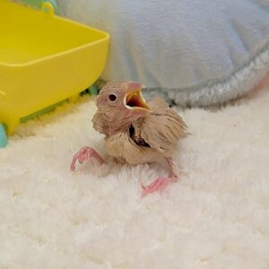 PXL_20260206_084027202