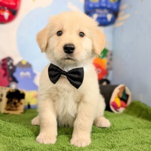 PXL_20260213_043523132.PORTRAIT~2