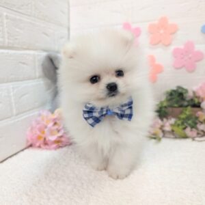 PXL_20260214_065949992~2