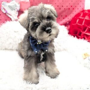 PXL_20260227_044600816