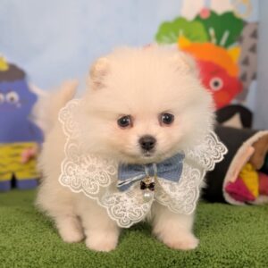 PXL_20260227_050252408.PORTRAIT~2