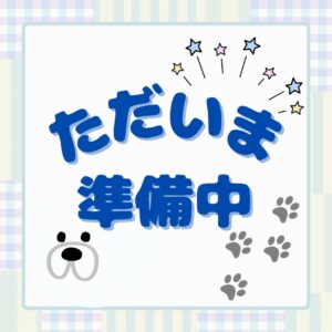 ミニチュアシュナウザー 準備中 犬