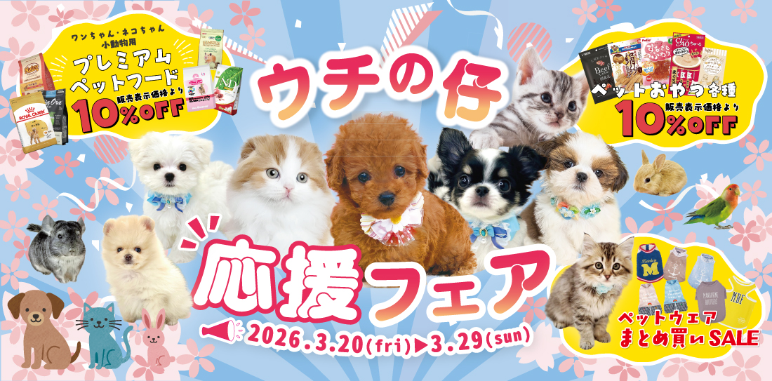 ペットショップピースワン🐶🐰うちの仔応援フェア🐦🐱