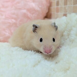 PXL_20260307_104002915