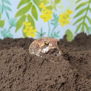 PXL_20260307_104955520